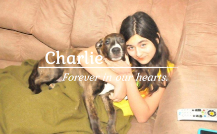 Charlie: Forever in Our Hearts